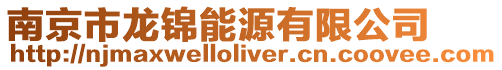 南京市龍錦能源有限公司