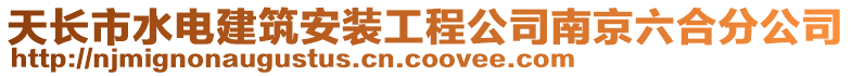 天長市水電建筑安裝工程公司南京六合分公司