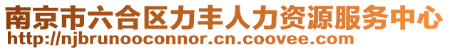 南京市六合區力豐人力資源服務中心