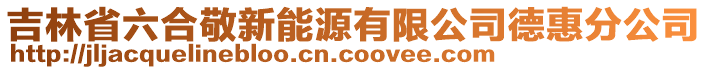 吉林省六合敬新能源有限公司德惠分公司