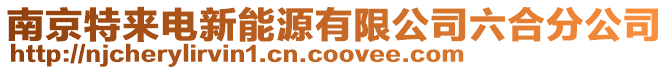 南京特來電新能源有限公司六合分公司