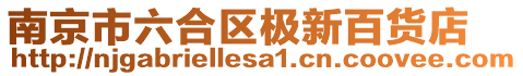 南京市六合區極新百貨店