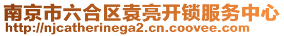 南京市六合區袁亮開鎖服務中心