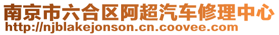 南京市六合區阿超汽車修理中心