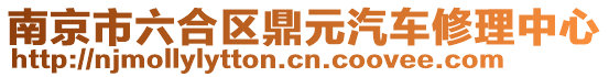 南京市六合區(qū)鼎元汽車修理中心