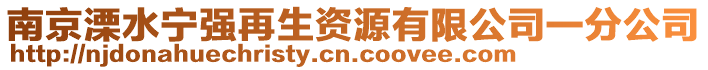 南京溧水寧強再生資源有限公司一分公司