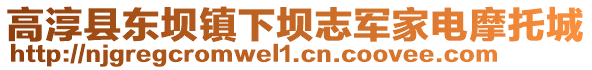 高淳縣東壩鎮(zhèn)下壩志軍家電摩托城