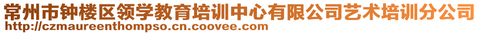 常州市鐘樓區(qū)領學教育培訓中心有限公司藝術培訓分公司