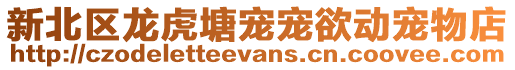 新北區龍虎塘寵寵欲動寵物店