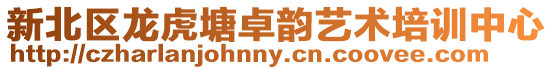 新北區龍虎塘卓韻藝術培訓中心