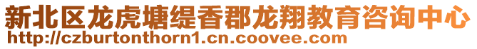 新北區(qū)龍虎塘緹香郡龍翔教育咨詢中心