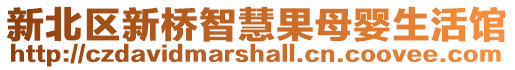 新北區(qū)新橋智慧果母嬰生活館