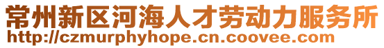 常州新區河海人才勞動力服務所