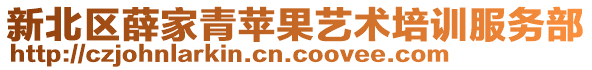 新北区薛家青苹果艺术培训服务部