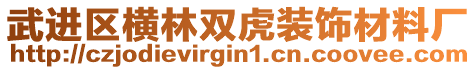 武进区横林双虎装饰材料厂