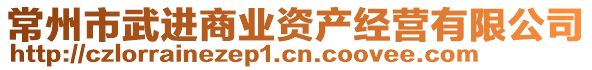 常州市武进商业资产经营有限公司