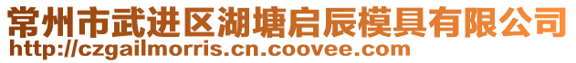 常州市武進區(qū)湖塘啟辰模具有限公司