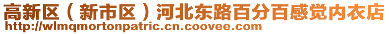 高新區(新市區)河北東路百分百感覺內衣店
