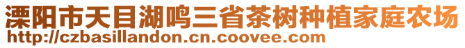 溧陽市天目湖鳴三省茶樹種植家庭農場