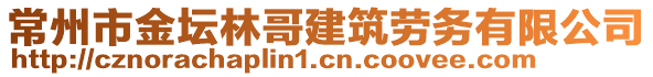 常州市金壇林哥建筑勞務(wù)有限公司