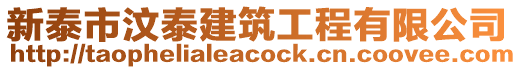 新泰市汶泰建筑工程有限公司