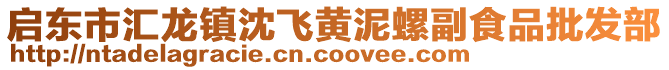 啟東市匯龍鎮(zhèn)沈飛黃泥螺副食品批發(fā)部