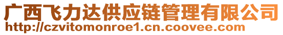 广西飞力达供应链管理有限公司