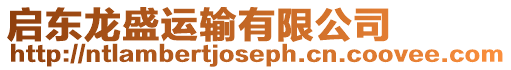 啟東龍盛運輸有限公司