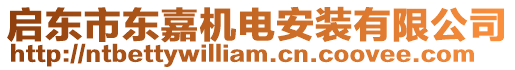 啟東市東嘉機電安裝有限公司