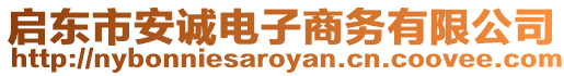 啟東市安誠電子商務(wù)有限公司