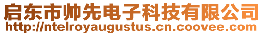 啟東市帥先電子科技有限公司