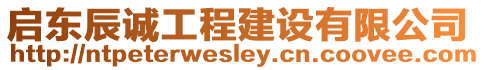 啟東辰誠工程建設有限公司