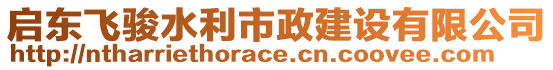 啟東飛駿水利市政建設(shè)有限公司
