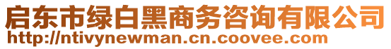 啟東市綠白黑商務(wù)咨詢有限公司