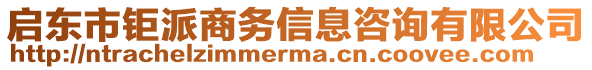 啟東市鉅派商務(wù)信息咨詢有限公司