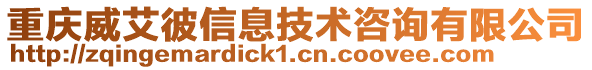 重慶威艾彼信息技術(shù)咨詢有限公司