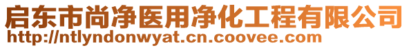 啟東市尚凈醫(yī)用凈化工程有限公司