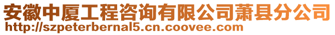 安徽中廈工程咨詢有限公司蕭縣分公司