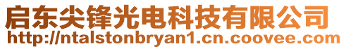 啟東尖鋒光電科技有限公司