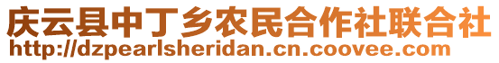 慶云縣中丁鄉(xiāng)農(nóng)民合作社聯(lián)合社