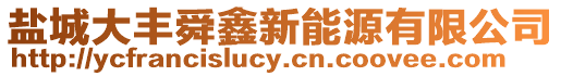 鹽城大豐舜鑫新能源有限公司