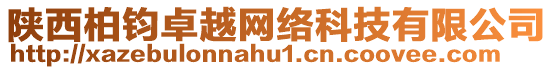 陜西柏鈞卓越網絡科技有限公司