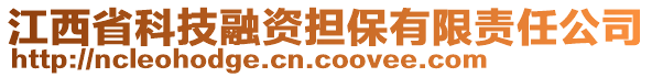 江西省科技融資擔保有限責任公司