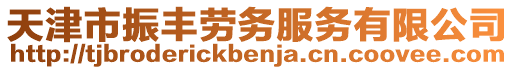 天津市振豐勞務(wù)服務(wù)有限公司