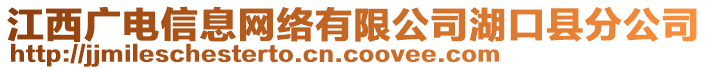 江西廣電信息網(wǎng)絡(luò)有限公司湖口縣分公司