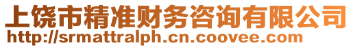 上饒市精準(zhǔn)財(cái)務(wù)咨詢有限公司