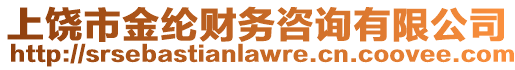 上饒市金綸財(cái)務(wù)咨詢(xún)有限公司