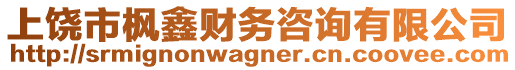 上饒市楓鑫財務(wù)咨詢有限公司