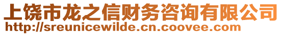 上饒市龍之信財務咨詢有限公司
