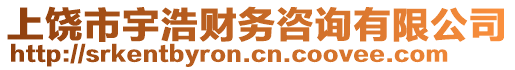 上饒市宇浩財(cái)務(wù)咨詢有限公司